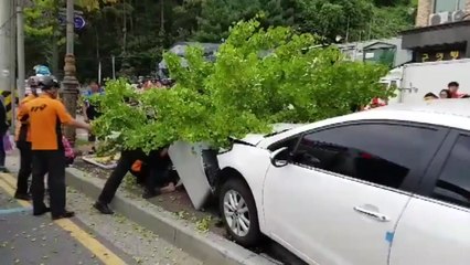 대전서 승용차가 버스정류장 돌진...7명 중·경상 / YTN