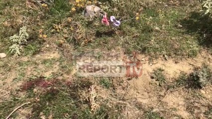 pistat e hetimit vrasja muho memaliaj