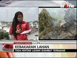 Tiga Hektare Lahan Gambut di Riau Terbakar