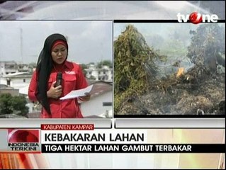 Tiga Hektare Lahan Gambut di Riau Terbakar