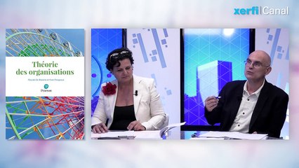 Théorie des organisations : quoi de neuf ? [Yvon Pesqueux et Pascale de Rozario]