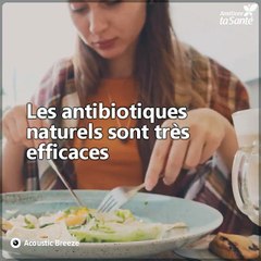 Découvrez les 10 meilleurs antibiotiques naturels
