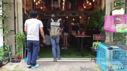 Prendre son café au milieu des reptiles à Phnom Penh