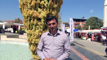 Üzüm festivaline dev salkım - MANİSA