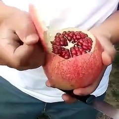 Ako ste se pitali kako se pravilno seče nar - evo rešenja. 