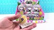 Hatchimals Twins Season 3 Full Box Blind Bag Opening Surprise Egg Toys _ PSToyReviews