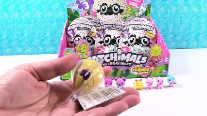 Hatchimals Twins Season 3 Full Box Blind Bag Opening Surprise Egg Toys _ PSToyReviews