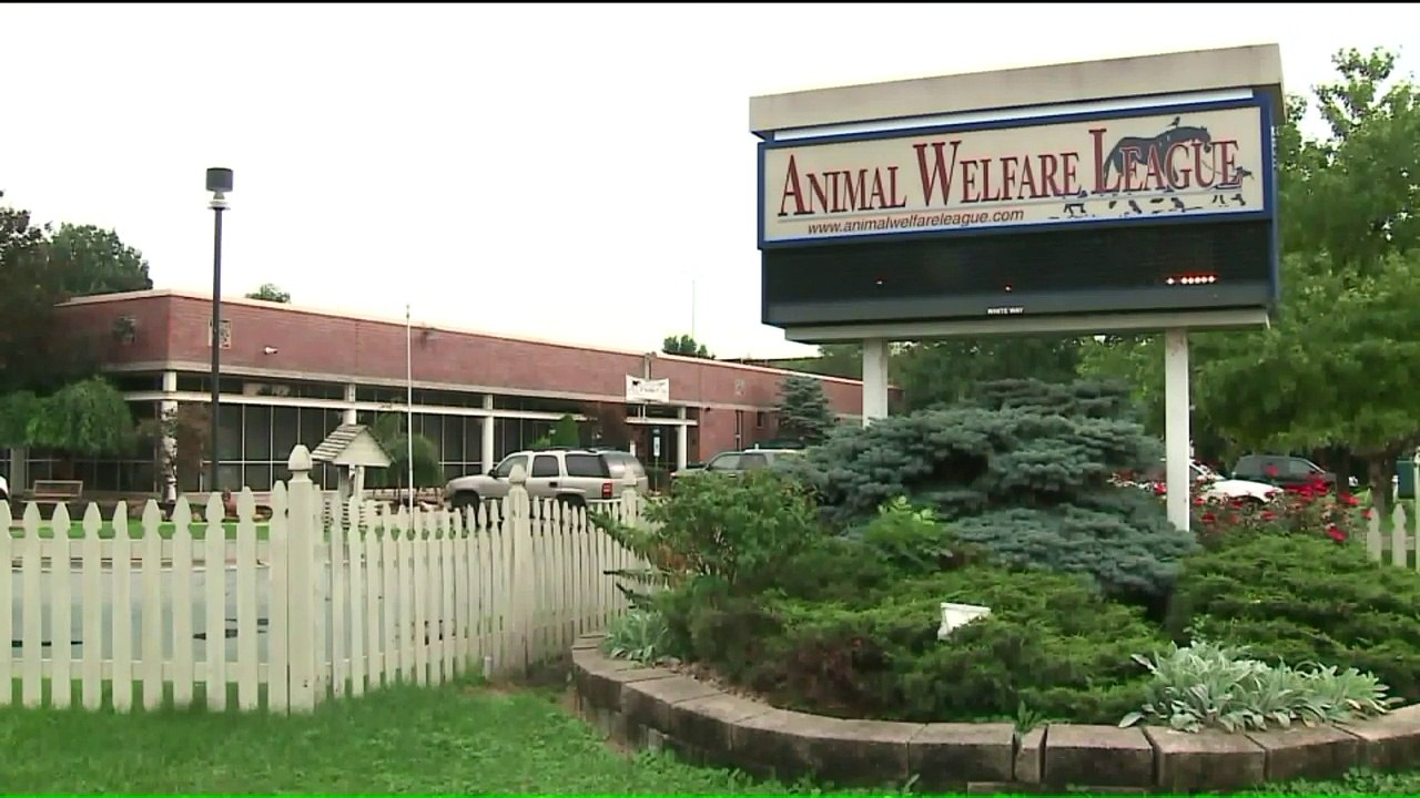 Disturbing Images Prompt Calls for Investigation Into Animal Shelter