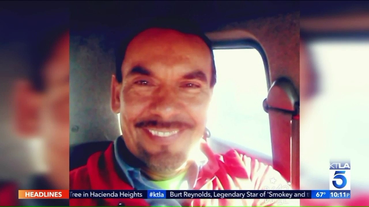 Man Dies After Becoming Stuck Inside Palm Tree