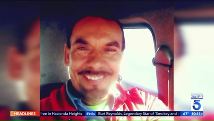 Man Dies After Becoming Stuck Inside Palm Tree