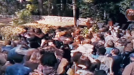 Movies News,  Biographical Cinema The  Front Runner