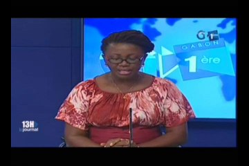 RTG/Le ministère de l’eau et la direction de la SEEG présente des solutions de sortie de crise