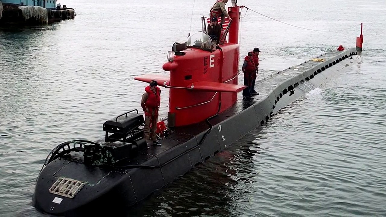 Wie Realistisch Ist The Meg Im Vergleich Zum Echten Megalodon?