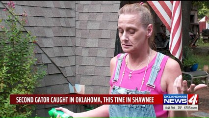 Couple Finds Alligator Outside Their Oklahoma Home