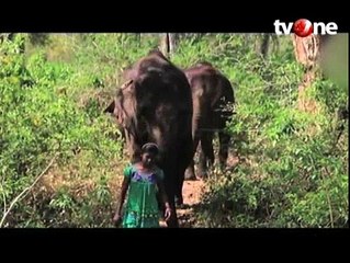 Gadis Ini Mampu Berbicara dengan Gajah