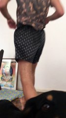 Dog Doesn't Like Yoga Pose