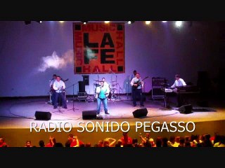 PEGASSO CON FREDMAN -LADUDA