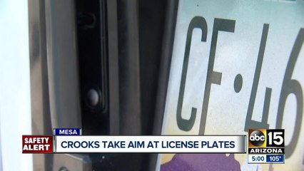 Nearly 200 license plate thefts reported in Mesa
