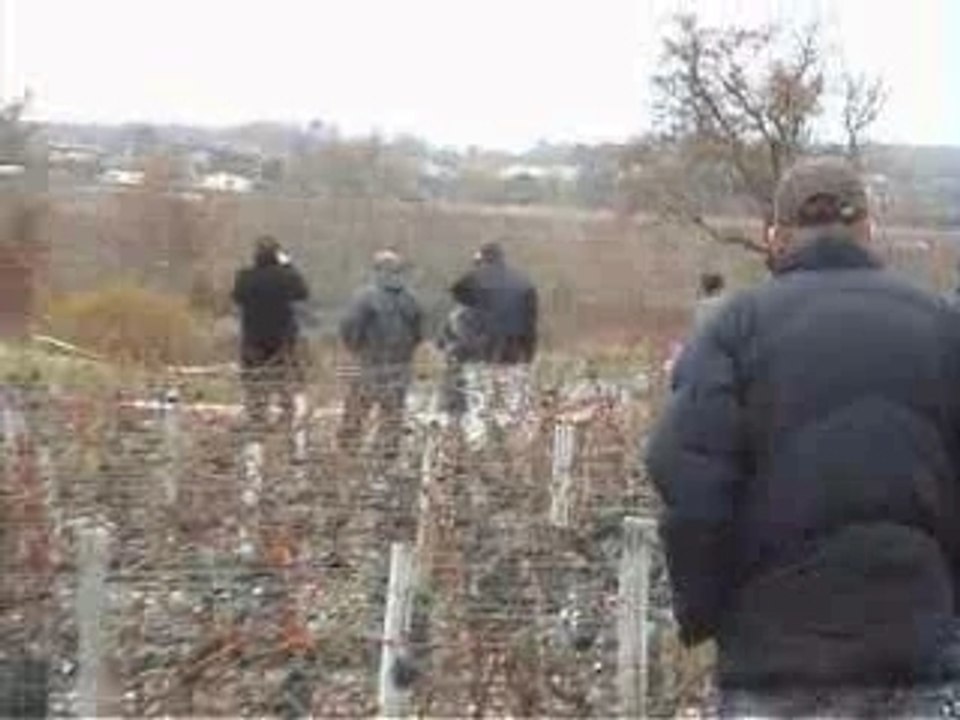 Medoc dynamique auto final