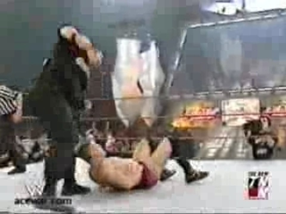 Trish bubba vs molly regal