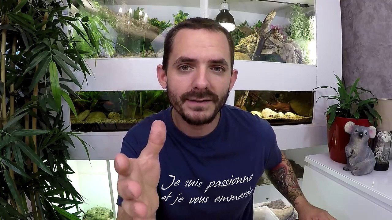 Le SERPENT le plus VENIMEUX du MONDE !!