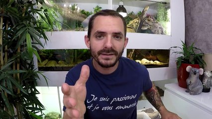 Le SERPENT le plus VENIMEUX du MONDE !!