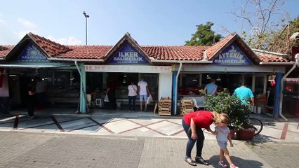 Yeni sezonda tezgahın gözdesi palamut - TEKİRDAĞ