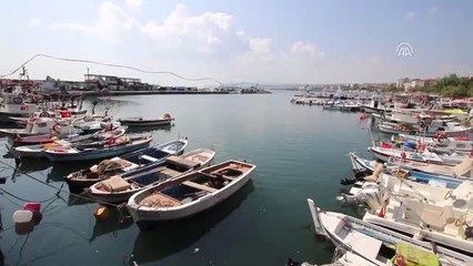 Yeni Sezonda Tezgahın Gözdesi Palamut - Tekirdağ