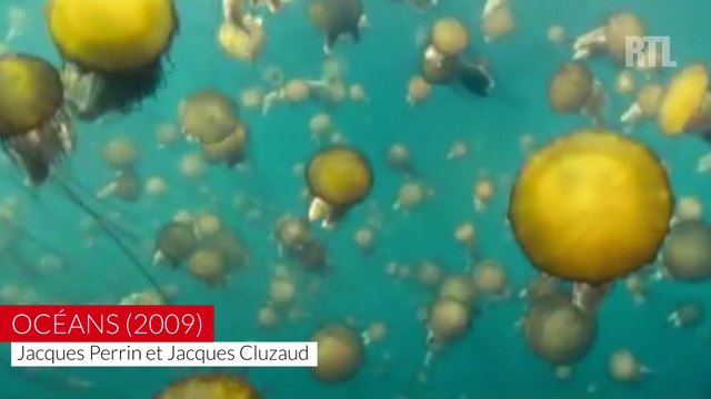 Ces 8 films qui magnifient la Terre et les animaux