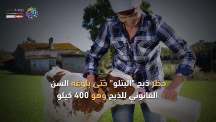 شاهد في دقيقة.. إجراءات "الزراعة" لزيادة إنتاج اللحوم والألبان