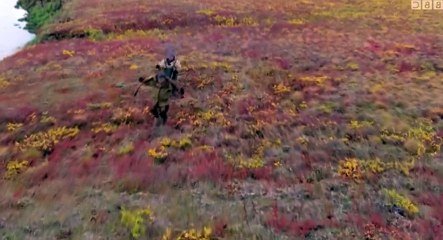 Earth's Natural Wonders S02 - Ep01 Surviving the Extreme -. Part 02 HD Watch