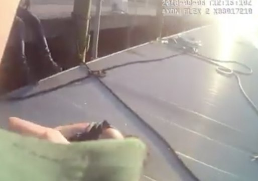 Police Officer Pulls Drowning Man From Water in Florida