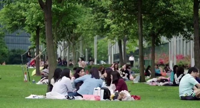 World's Busiest Cities S01 - Ep01 Hong Kong -. Part 02 HD Watch