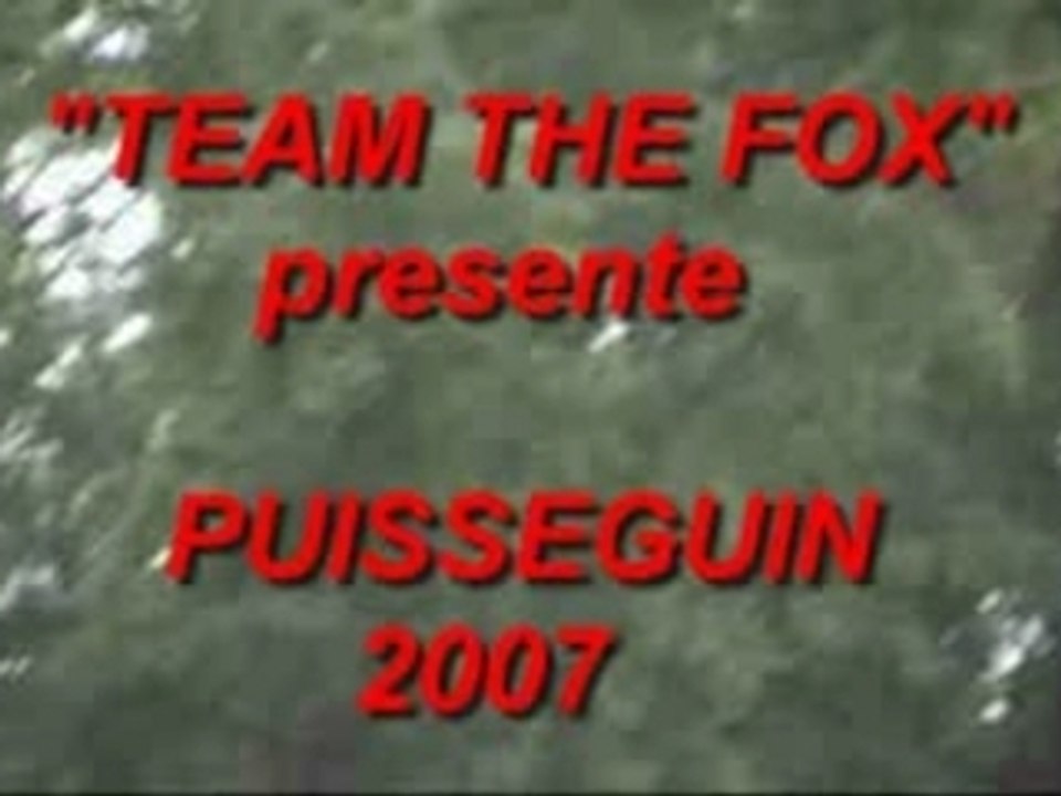 Videopuisseguin2007