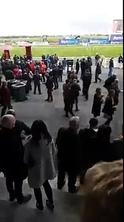 Drunk at the races