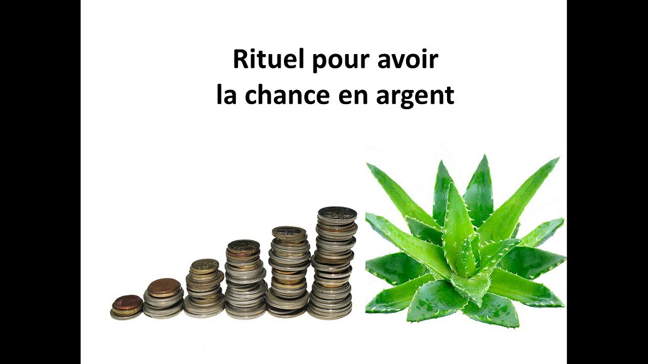 Rituel de bonne fortune avec Aloe Vera