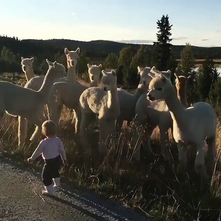 Hey little one!