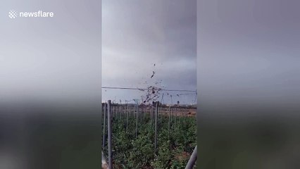 Powerful tornado touches down in eastern Spain