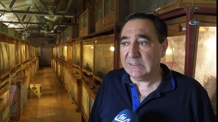 Tarım Alanlarına Zararıyla Bilinen Çekirgeleri Gelir Kapısı Yaptı