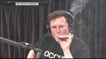 Elon Musk smokes a joint live, Tesla shares plunge