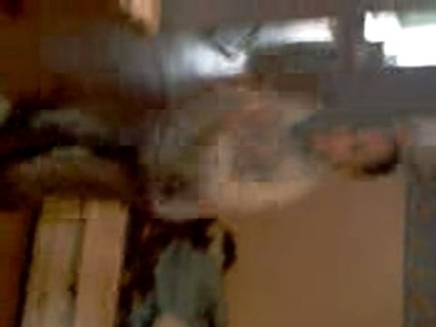 Mon neveu qui fait de la tecktonik