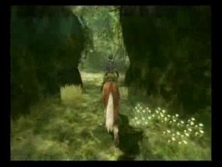 Zelda Twilight Princess