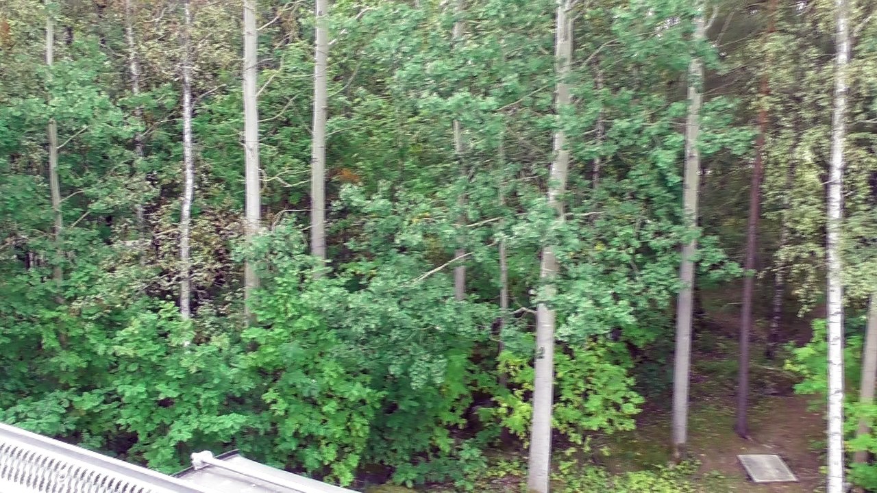 Sep 1 2018 DL2