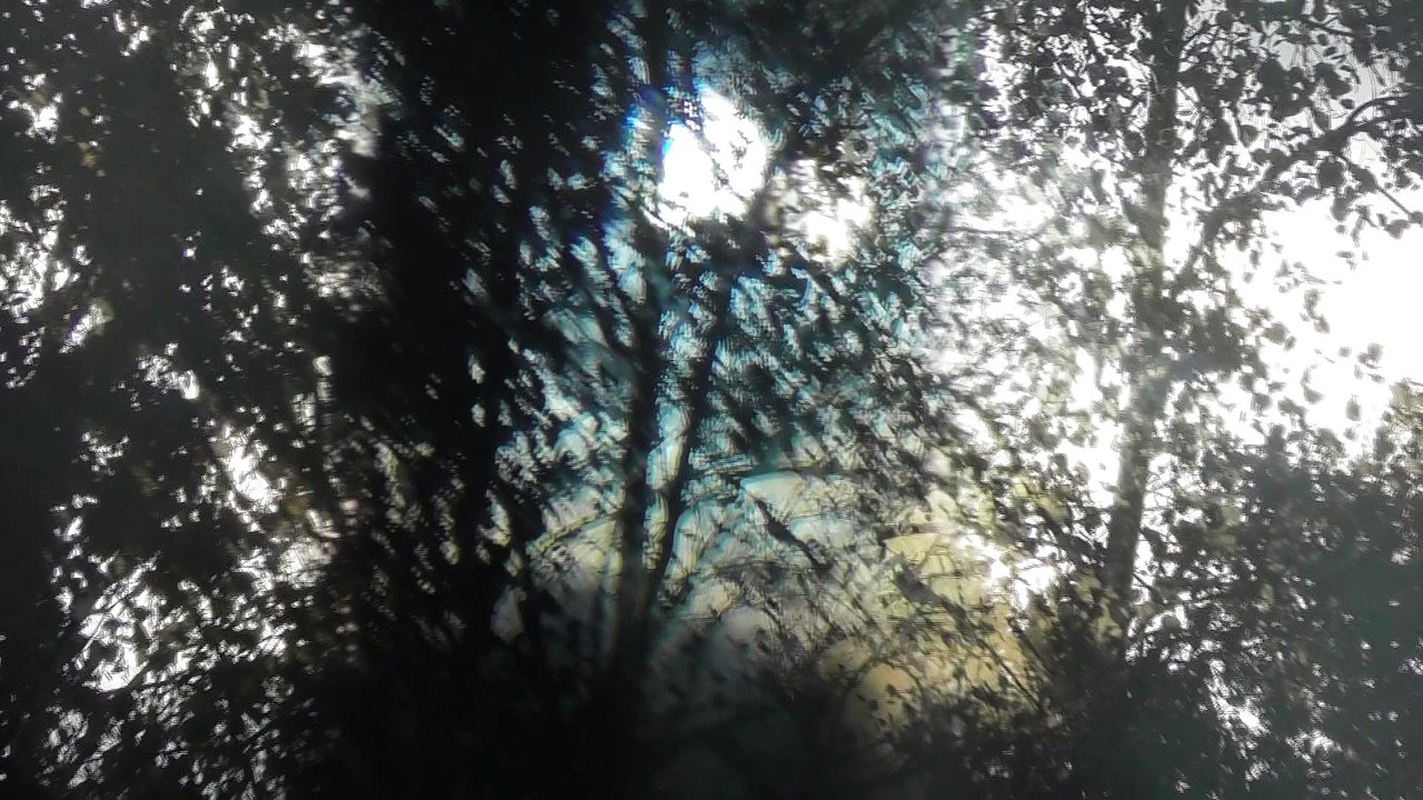 Sep 1 2018 DL3