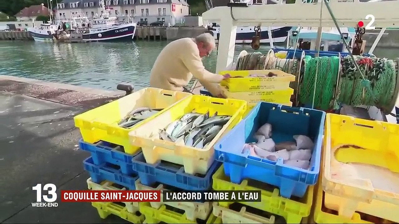 Coquille Saint-Jacques : l'accord entre les Français et les Anglais tombe à l'eau
