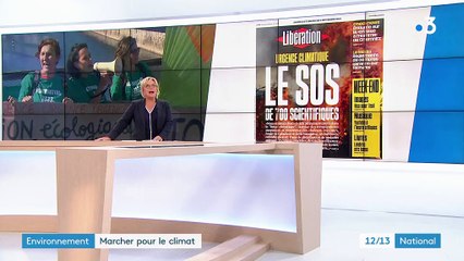 Environnement : marcher pour le climat