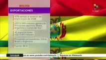 Exportaciones bolivianas se incrementaron 17%