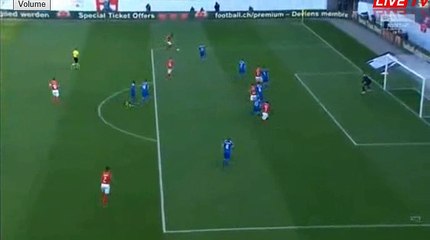 Steven Zuber Goal HD -  Switzerland	1-0	Iceland 08.09.2018