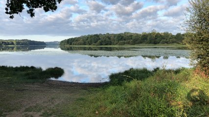Opération nettoyage pour la société de chasse