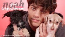 Noah Centineo com filhotes de cachorros para o Buzzfeed · (LEGENDADO PT-BR)